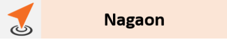 Picture for category Nagaon